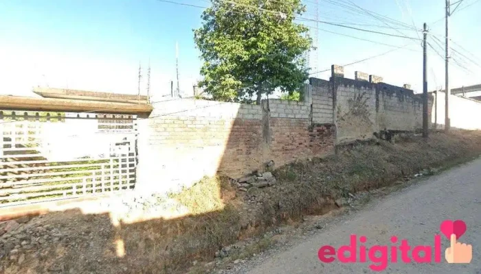 Expreso Internacional Apolo Tocache - Tocache 22541