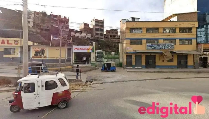 Expreso Palomino - Unnamed Road