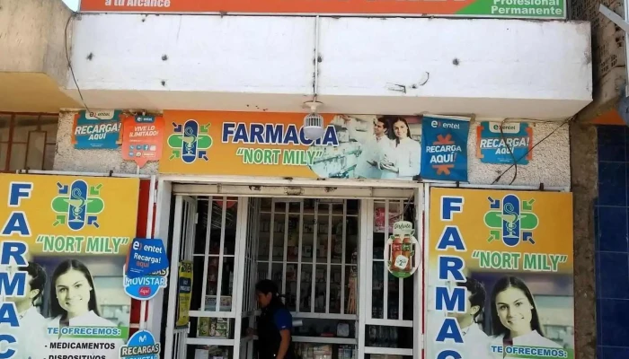 Farmacia Nort Mily -  Cerca De Mi - Ica