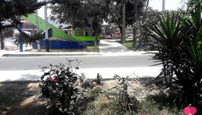 Farmacia Plus -  Telefono - Lima