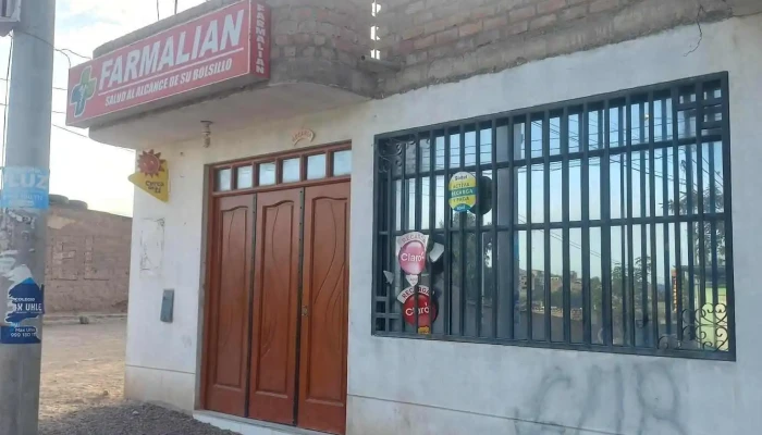 Farmalian Horario - Ayacucho