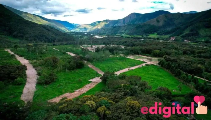 Fundo La Victoria Oxapampa - Peru