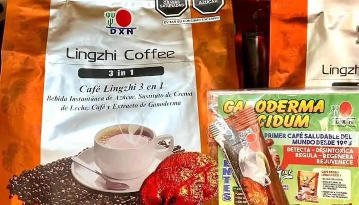 Ganoderma Lucidum Dxn Distribuidor San Andres Del Propietario - Trujillo
