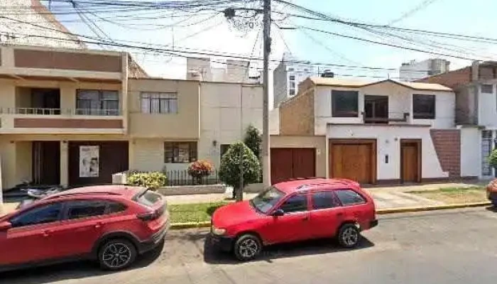 Ganoderma Lucidum Dxn Distribuidor San Andres Dondedeg - Trujillo