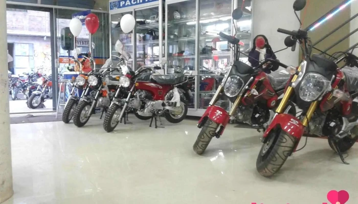 Hero, Lifan y Motos Multimarca Consecionario Autorizado Pacific Motos Juliaca - Juliaca 21101