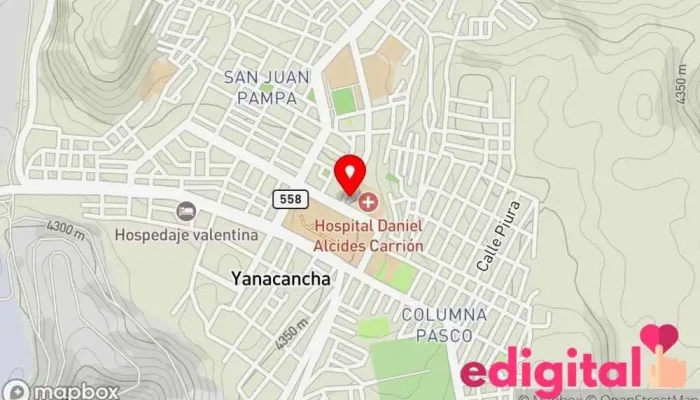 mapa de Hospital Regional Daniel Alcides Carrion Hospital gubernamental en Cerro De Pasco