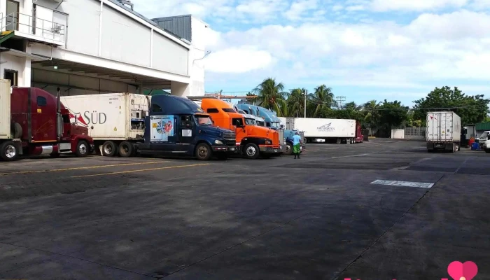 Industrial Comercial San Martín - Nandaime