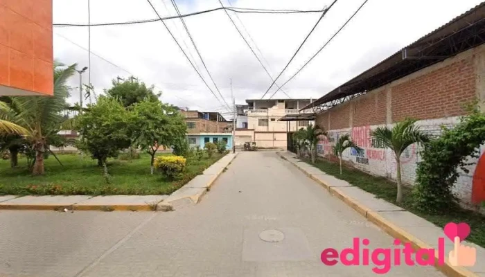 Insumos - Tumbes 24002