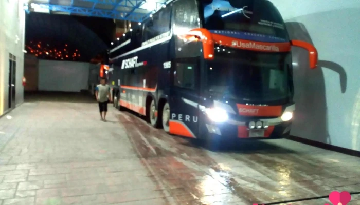 Internacional Crucero Sac -  Principal - Huánuco 10001