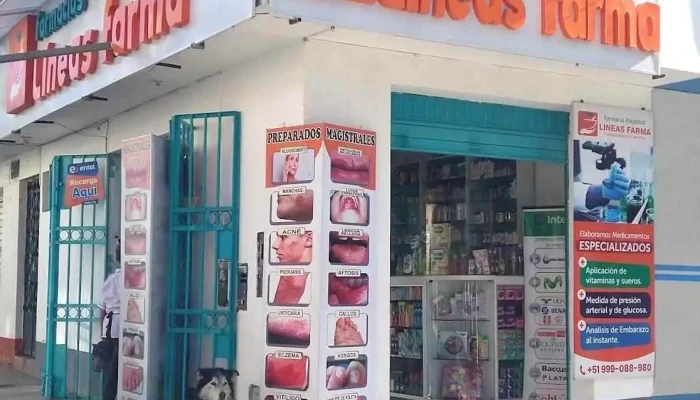 Lineas Farma - Ayacucho