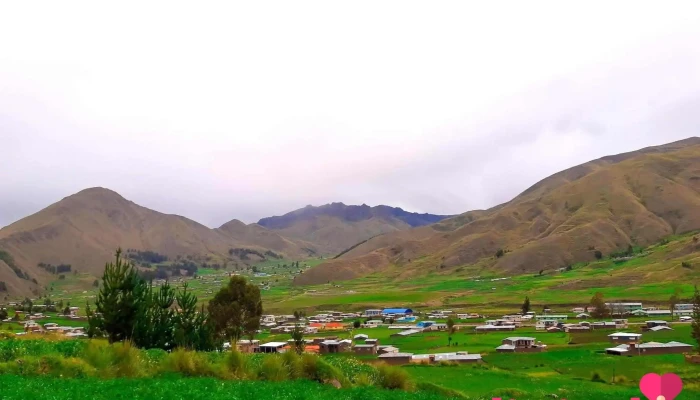 Llallahui, Marangani, Cusco - 08257