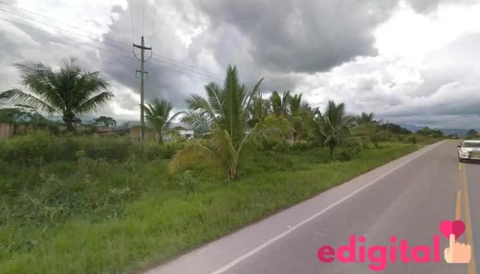 Llamagas Pucallpa Sa - Rioja 22825