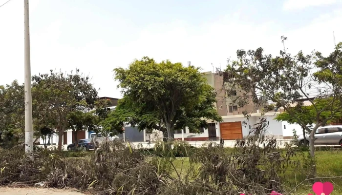 Ministerio Trabajo Cañete - San Vicente De Cañete 15701
