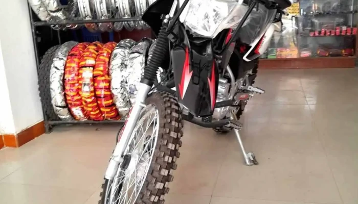 Motorrepuestos San Josè - Soritor 22811