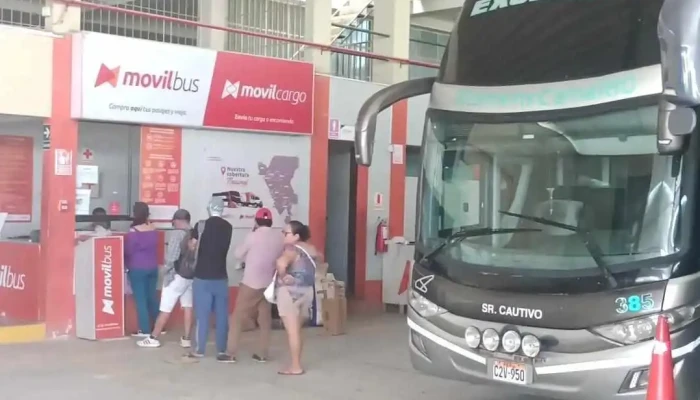 Movil Bus - Jaén 06801
