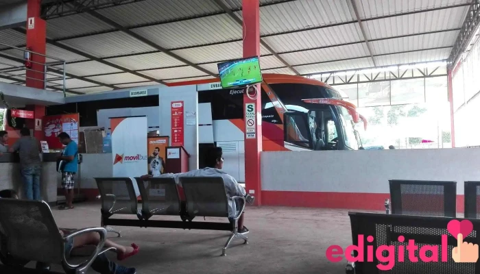 Movil bus - Pucallpa 25004