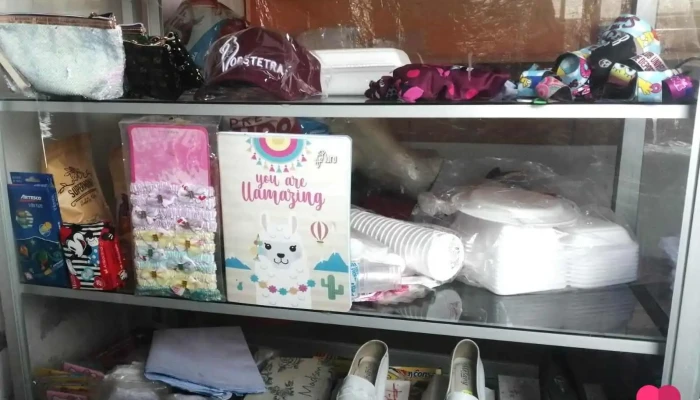 Multiservicios Los Reyes - Pucallpa 25001