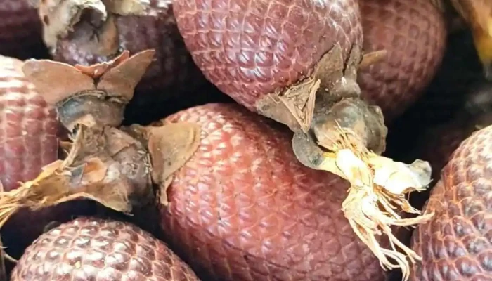 Nature Farmacia Especializada -  Videos - Tarapoto