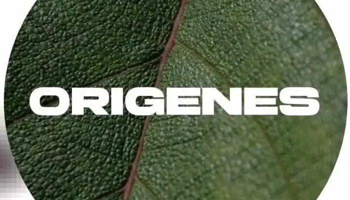 Origenes Experiencie - Peru