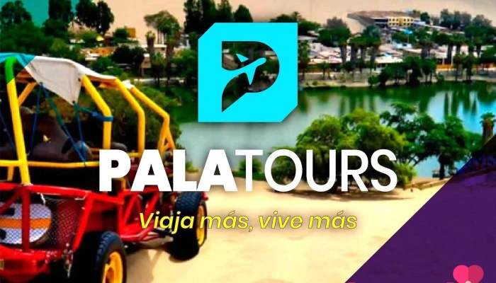 PalaTours - Agencia de Viajes y Turismo en Ica, Paracas y Nazca | Tours y Transporte Turístico - Ica 11002