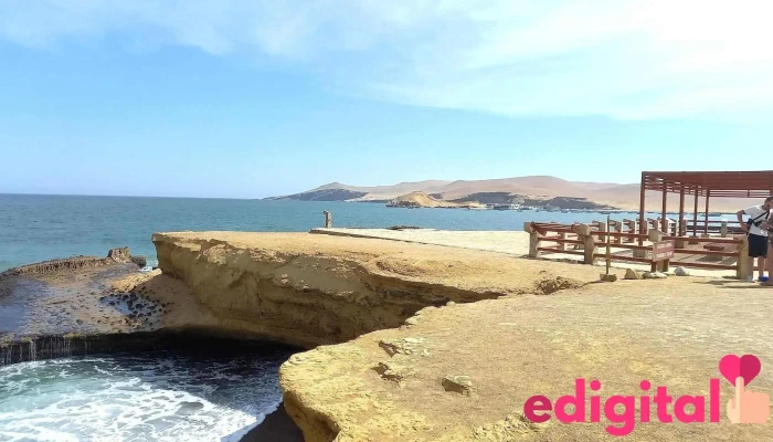 Paracas Full Day - Paracas 11550