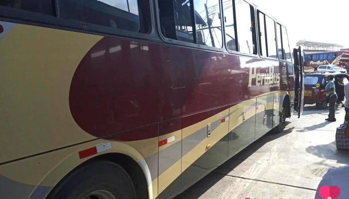 Perú Bus cañete - Antigua Panamericana Sur