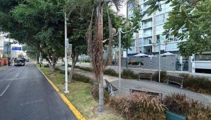 Pharma Kids -  Sitio Webdeg - San Isidro