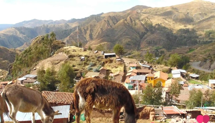 Pitumarca - Acomayo - Perú