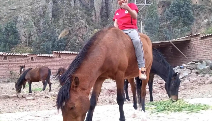 Pony Playtime - Ollantaytambo 08675