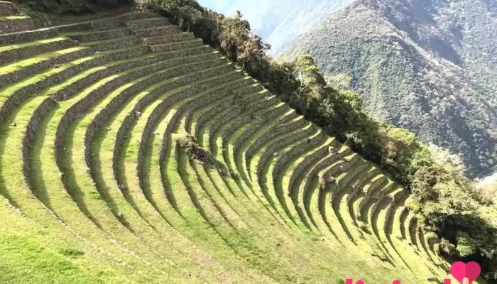 Puma Path - Ollantaytambo 08676