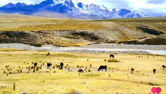 Recuay - Peru
