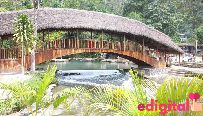 Rixsiy Tour - Tarapoto 22201