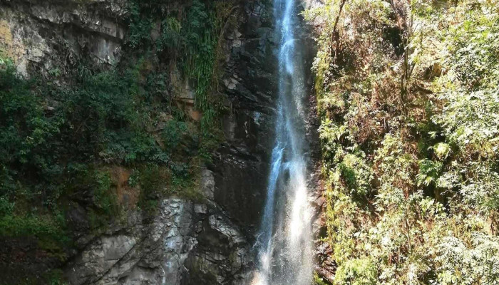 Rutas La Convencion - Cusco 08741