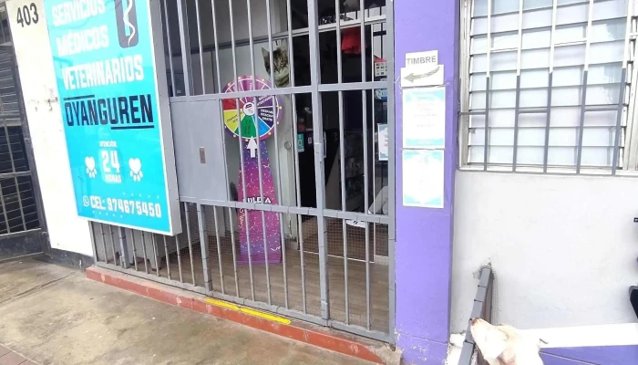Servicios Medicos Veterinarios 24 Horas Oyanguren   Sede San Luis San Luis - San Luis
