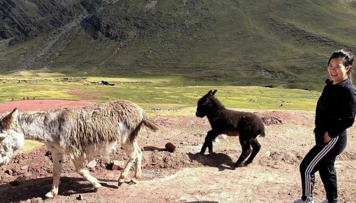 Sonqo Inka Travel Agency - Cusco 08000