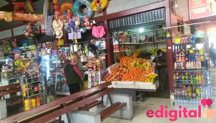 Terminal Bolognesi -  Videos - Tacna