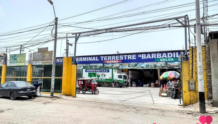 Terminal Terrestre Barbadillo - Ate 15494
