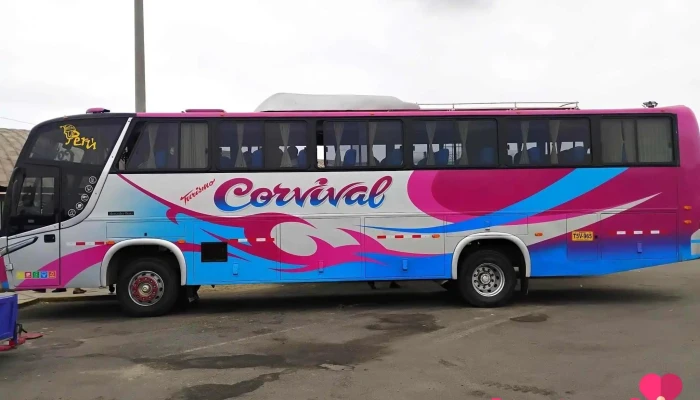Terminal Terrestre Chimbote -  Mas Recientes - Chimbote