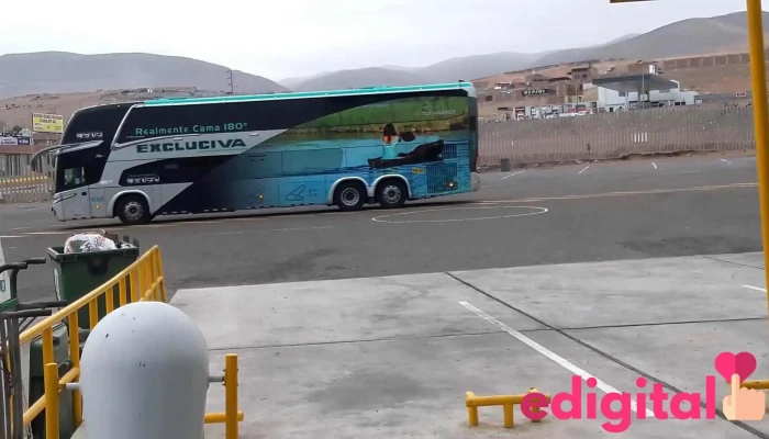 Terminal Terrestre De Mollendo -  Autobus - Mollendo