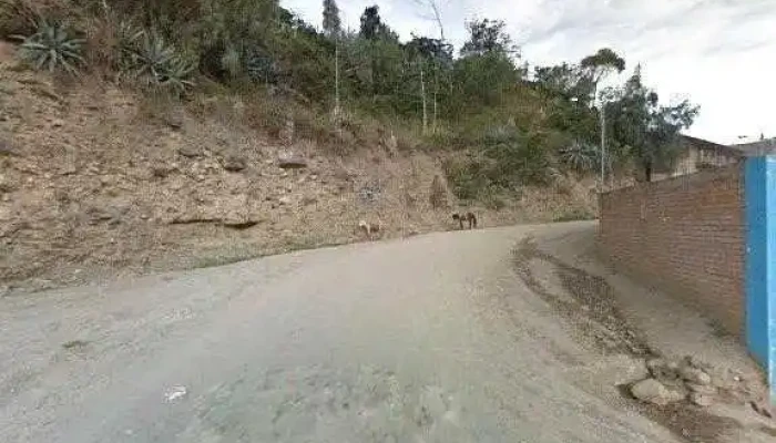 Terminal Terrestre Sihuas -  Abierto Ahoradeg - Sihuas