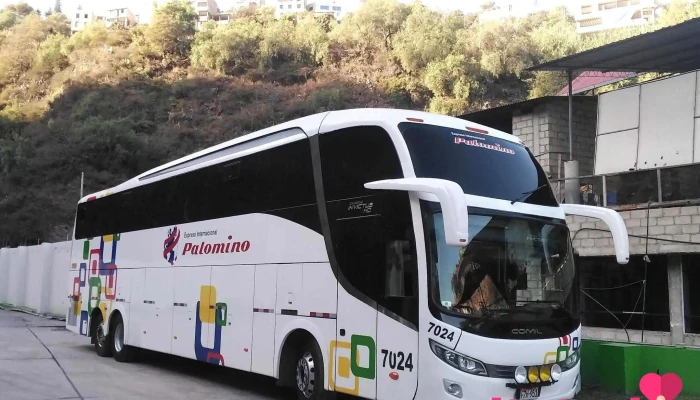 Terminal Wari Palomino - Av. Panamericana