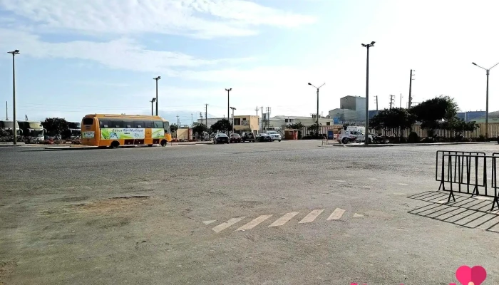 Terrapuerto Chimbote -  Autobus - Chimbote