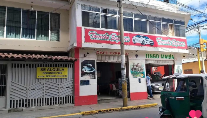 Tocache Express -  Principal - Huánuco 10001