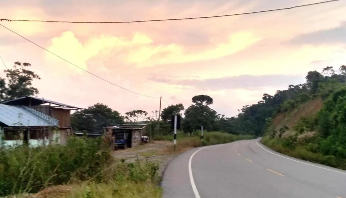 Tocache Express -  Ubicacion - Tingo María 10131