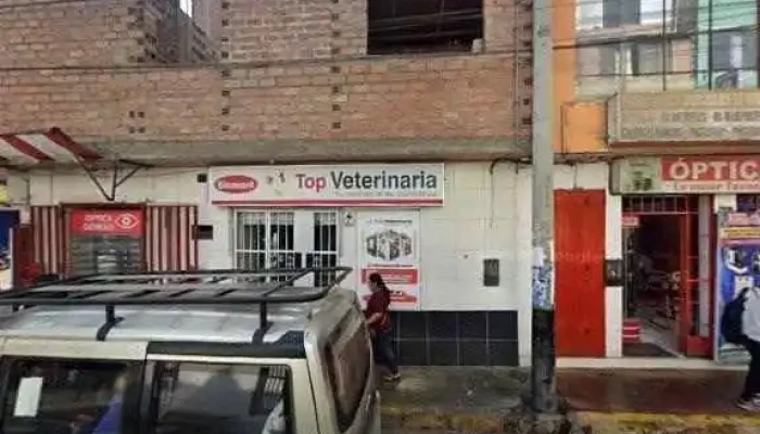 Top Veterinaria -    Huaral Puntaje - Huaral