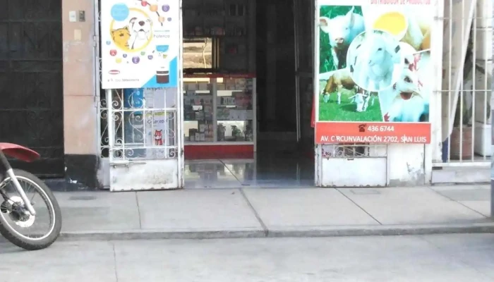 Top Veterinaria -    San Luis Del Propietario - Lima