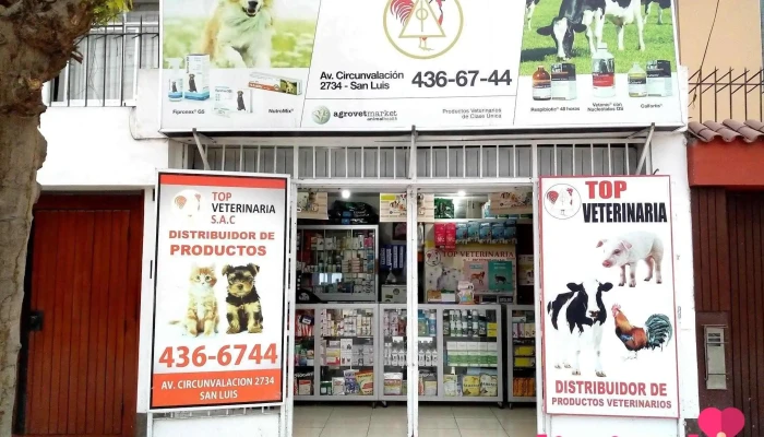 Top Veterinaria -    San Luis Perro - Lima