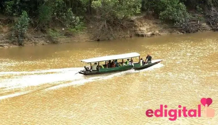 Tour Pacaya Samiria - Iquitos 16003