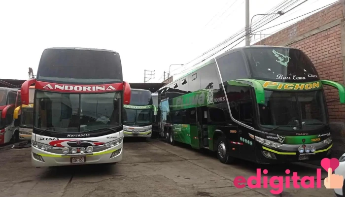 Transportes Andoriña - Agencia Arequipa - Arequipa