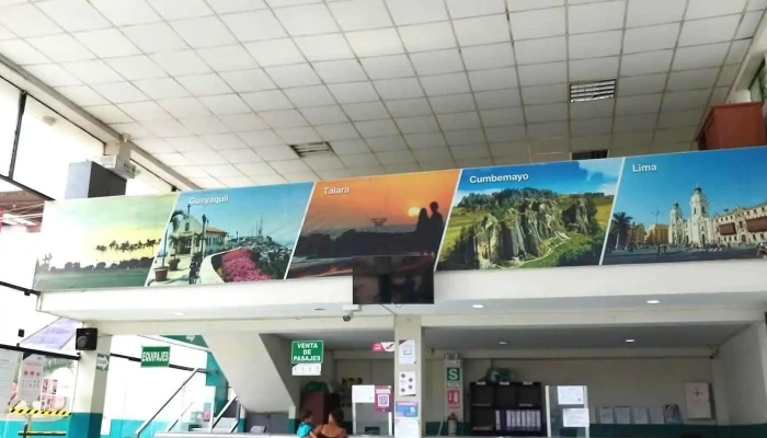 Transportes Flores, terminal terrestre tumbes - Tumbes 24001